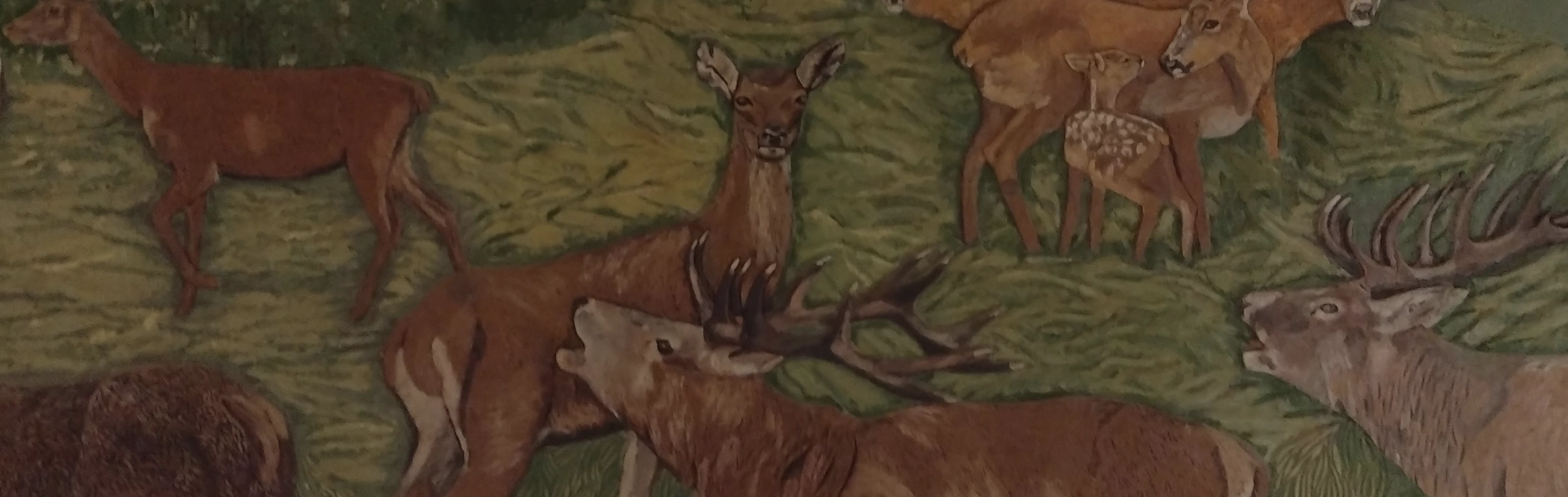 Obraz ze zwierzętami