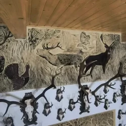 mozaikaa-galeria-107