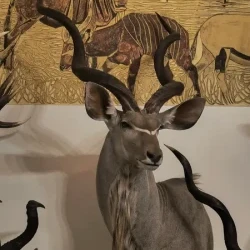 mozaikaa-galeria-111