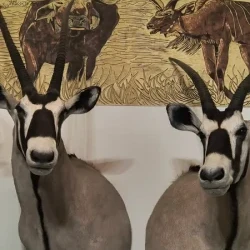 mozaikaa-galeria-113