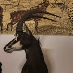 mozaikaa-galeria-114