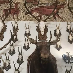 mozaikaa-galeria-115