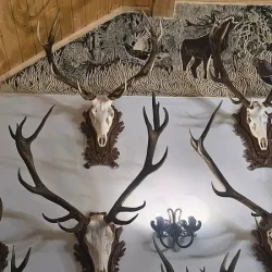 mozaikaa-galeria-116