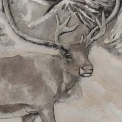 mozaikaa-galeria-164