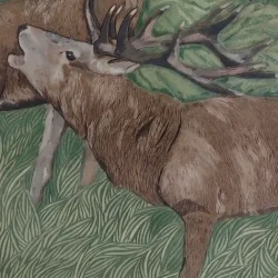 mozaikaa-galeria-168